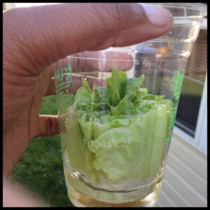 regrow your lettuce (3)