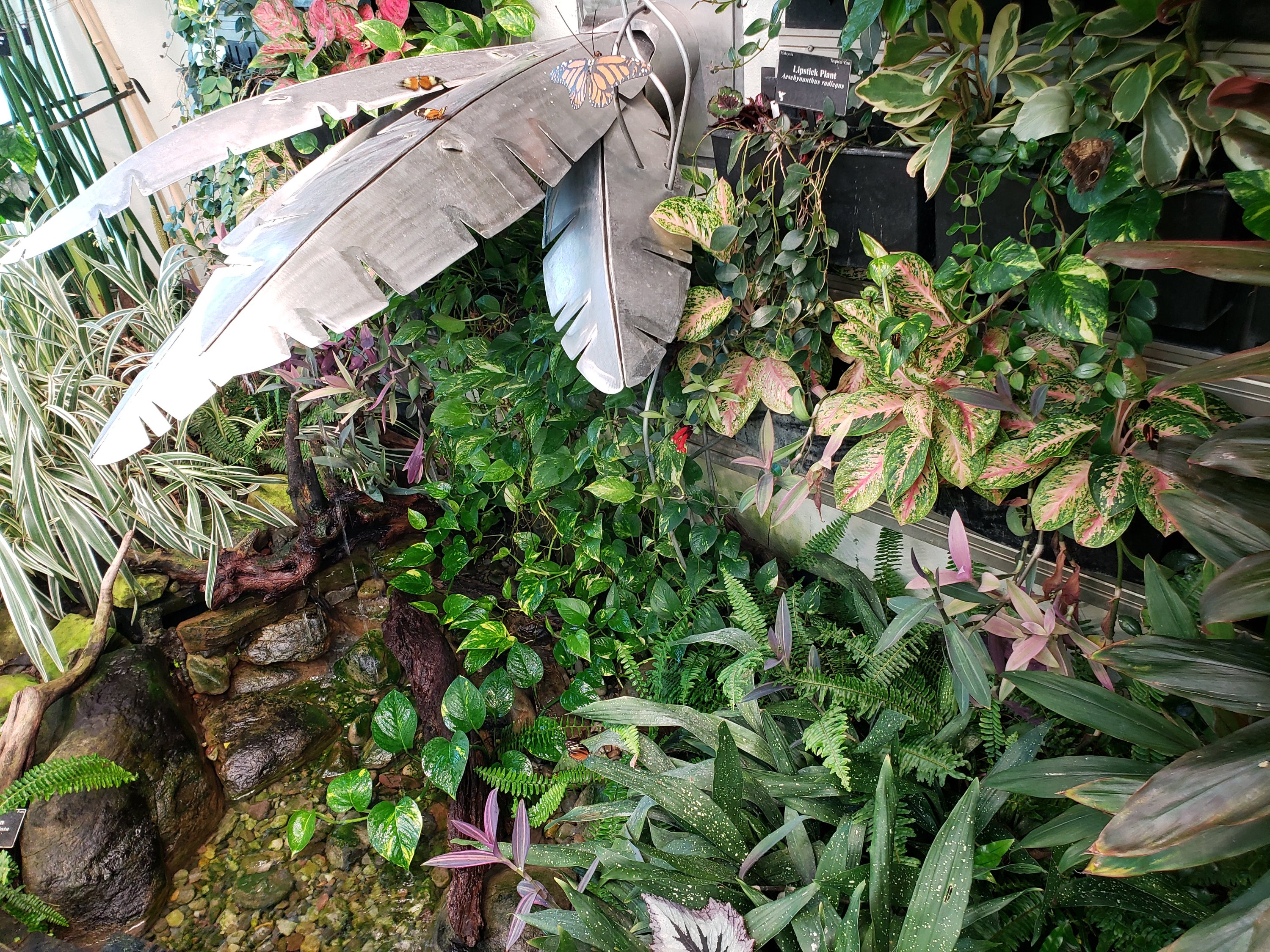 Hershey Gardens butterfly atrium